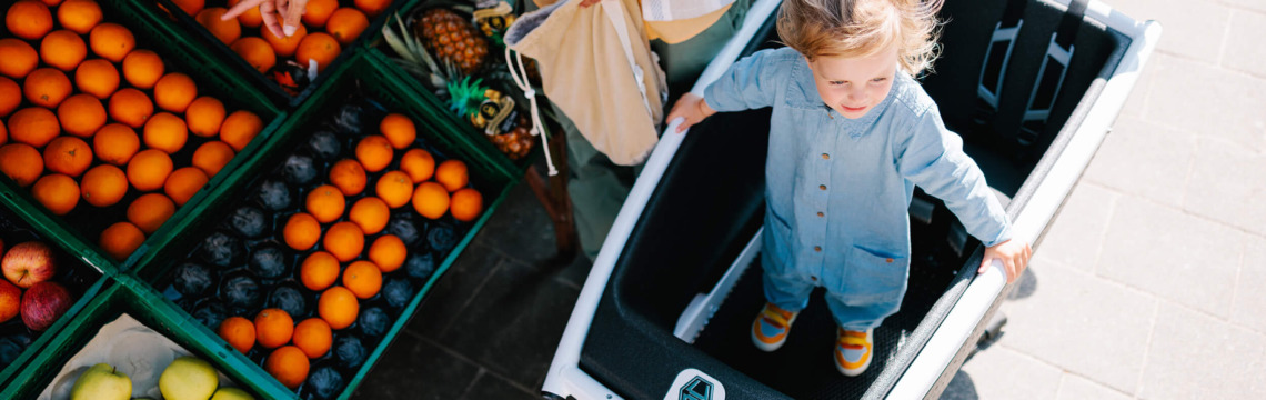 Urban Arrow Family rower cargo